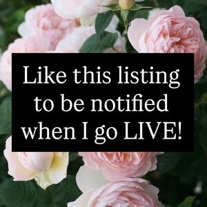 Like this listing to be notified when I go live!